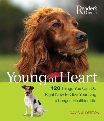 Imagen de archivo de Young at Heart: 120 Things You Can Do Right Now to Give Your Older Dog a Longer, Healthier Life a la venta por More Than Words