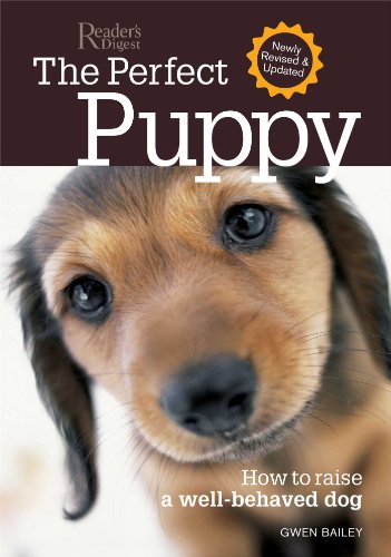 Imagen de archivo de Perfect Puppy-Newly Revised & Updated: How to Raise a Well-Behaved Dog a la venta por Your Online Bookstore