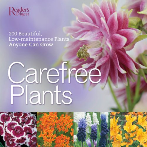 Imagen de archivo de Care-Free Plants : 200 Beautiful, Low-Maintenance Plants Anyone Can Grow a la venta por Better World Books