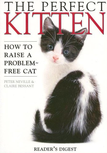 Imagen de archivo de Perfect Kitten a la venta por ThriftBooks-Atlanta