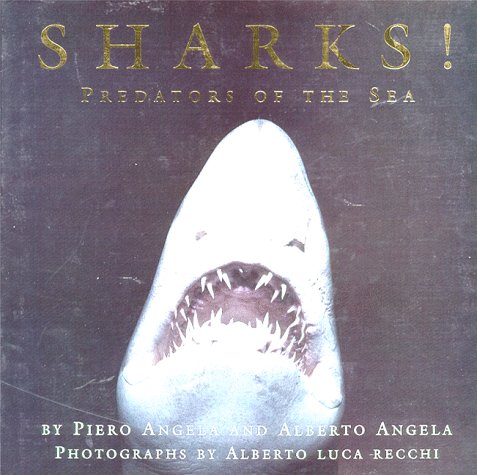 Stock image for Sharks!: Predators of the Sea for sale by BombBooks