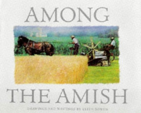 Imagen de archivo de Among the Amish a la venta por Better World Books