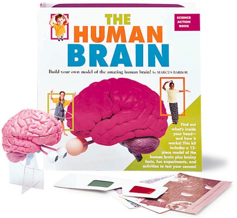 The Human Brain: Action Book (9780762404919) by Barbor, Marcus