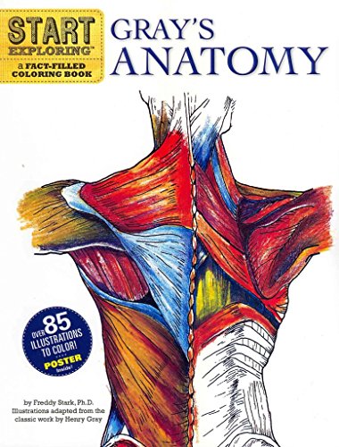 Beispielbild fr Gray's Anatomy zum Verkauf von Robinson Street Books, IOBA