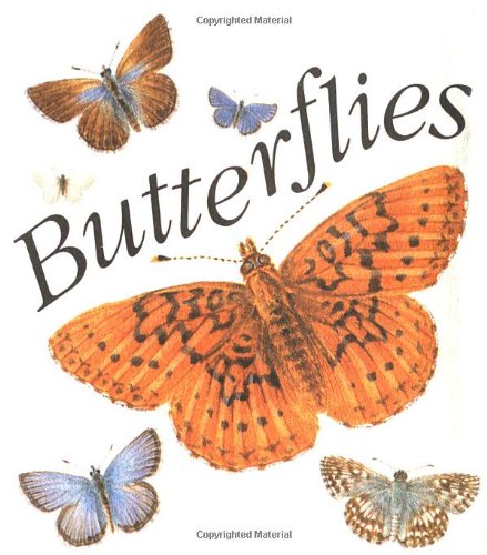 Imagen de archivo de Butterflies a la venta por Antiquariaat Coriovallum