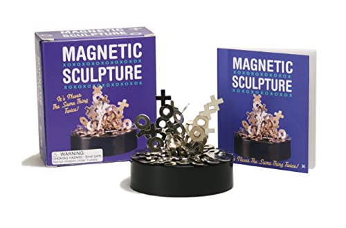9780762413737: Magnetic Sculpture: It's Never The Same Thing Twice