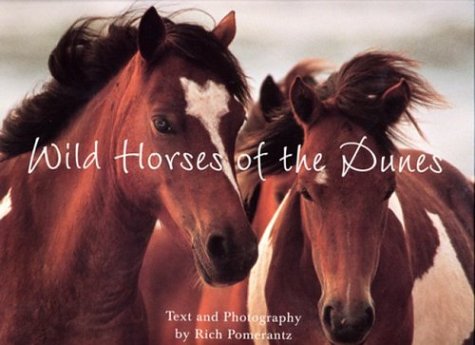 Stock image for Wild Horses of the Dunes for sale by Autumn Leaves