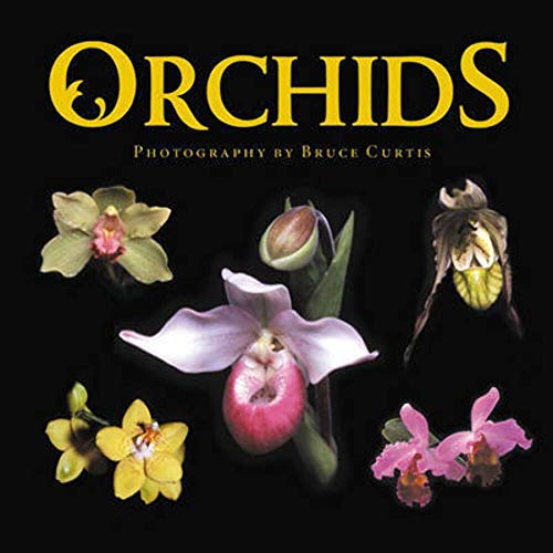 Orchids: Photography by Bruce Curtis