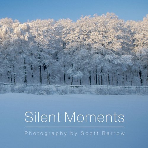 Beispielbild fr Silent Moments zum Verkauf von HPB Inc.