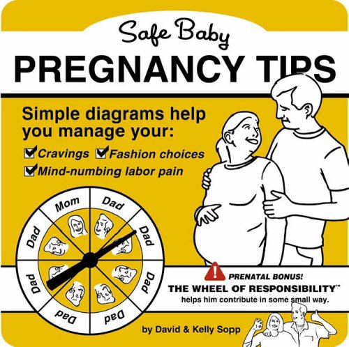 Safe Baby Pregnancy Tips - Sopp, David; Sopp, Kelly