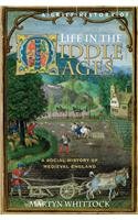 Beispielbild fr A Brief History of Life in the Middle Ages zum Verkauf von Wonder Book