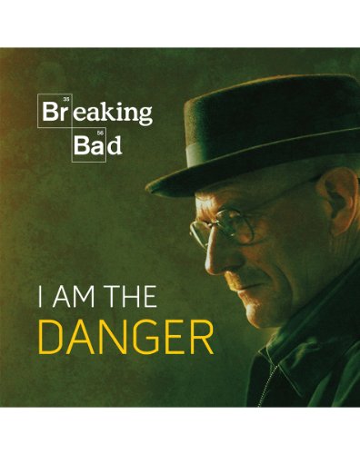 BREAKING BAD : I AM THE DANGER