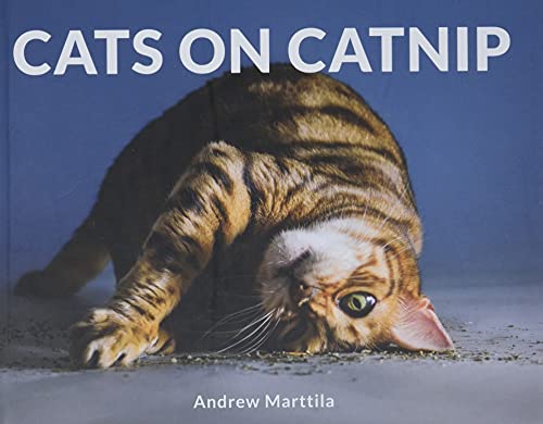 Stock image for Cats on Catnip for sale by SecondSale