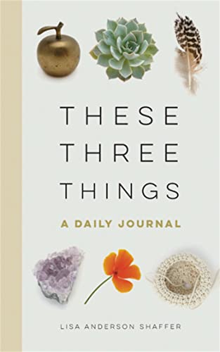 Beispielbild fr These Three Things: A Daily Journal zum Verkauf von SecondSale