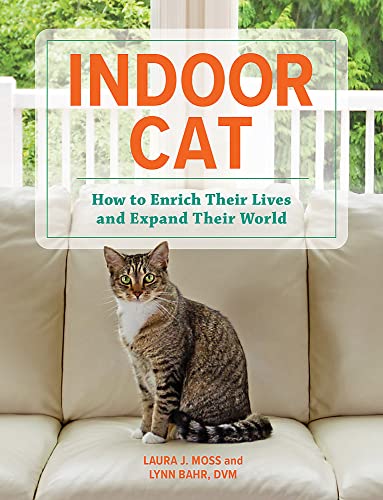 Imagen de archivo de Indoor Cat: How to Enrich Their Lives and Expand Their World a la venta por Goodwill of Colorado