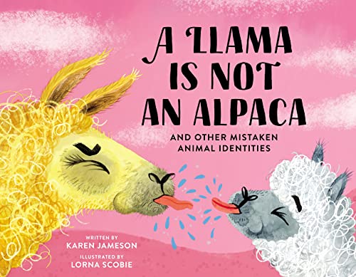 Imagen de archivo de A Llama Is Not an Alpaca : And Other Mistaken Animal Identities a la venta por Better World Books