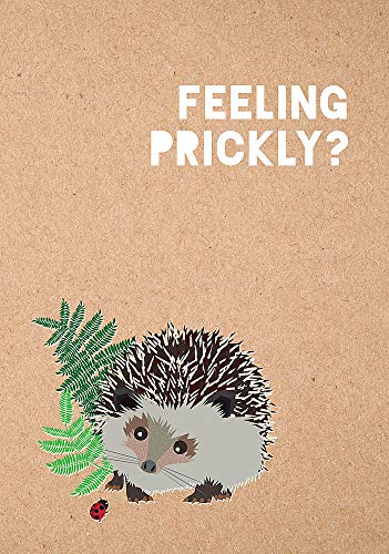 Beispielbild fr Feeling Prickly Journal zum Verkauf von SecondSale