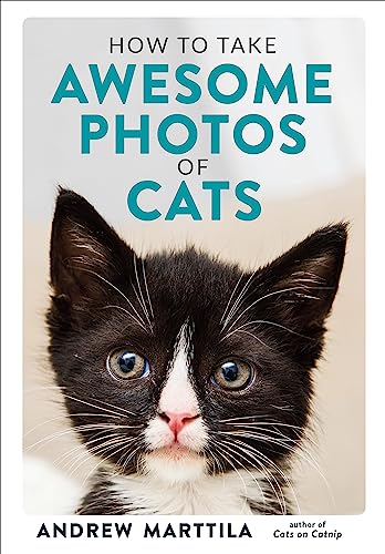 Stock image for How to Take Awesome Photos of Cats for sale by PlumCircle
