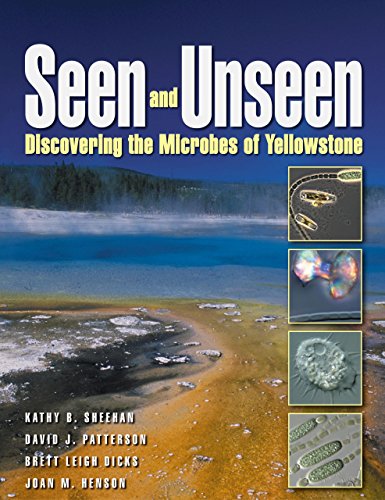 Beispielbild fr Seen and Unseen : Discovering the Microbes of Yellowstone zum Verkauf von Better World Books