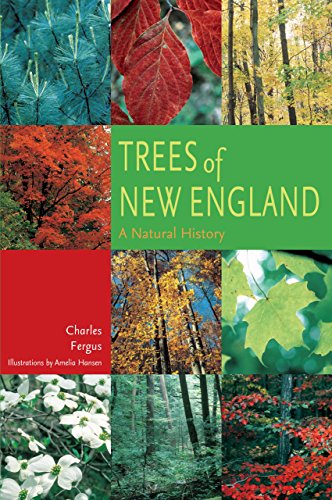 9780762737956: Trees of New England: A Natural History