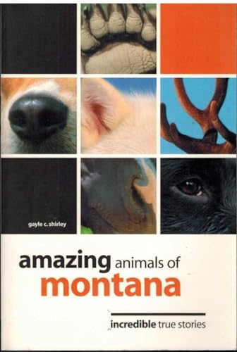 Insiders Guide Amazing Animals Of Montana: Incredible True Stories (Four-Legged Legends Series, Amazing Animals) (9780762738557) by Shirley, Gayle C.