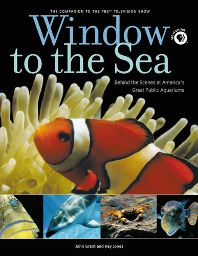 Stock image for Window to the Sea: Behind the Scenes at America's Great Public Aquariums for sale by Wonder Book