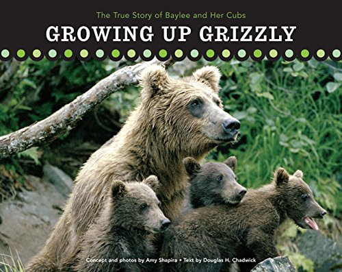 Imagen de archivo de Growing up Grizzly : The True Story of Baylee and Her Cubs a la venta por Better World Books: West