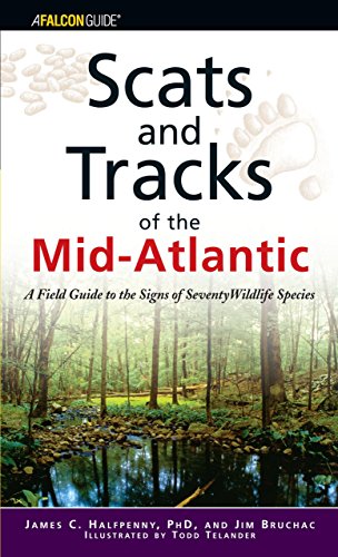 Stock image for Scats and Tracks of the Mid-Atlantic: A Field Guide to the Signs of Seventy Wildlife Species (Scats and Tracks Series) for sale by North America Trader, LLC