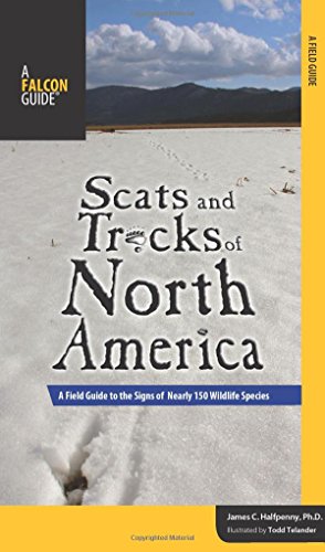 9780762748426: Scats and Tracks of North America: A Field Guide To The Signs Of Nearly 150 Wildlife Species (Scats and Tracks Series) [Idioma Ingls]