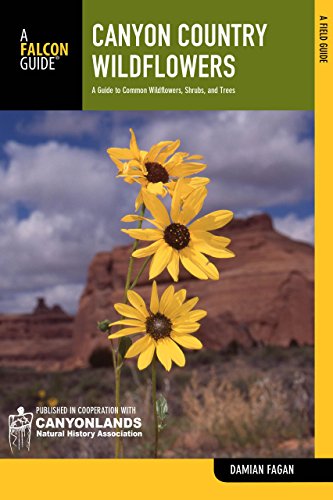 Stock image for Canyon Country Wildflowers: A Guide To Common Wildflowers, Shrubs, And Trees (Wildflower Series) for sale by Jenson Books Inc