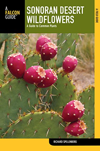 Stock image for Sonoran Desert Wildflowers, 2nd: A Guide to Common Plants (Wildflower Series) for sale by Affordable Collectibles