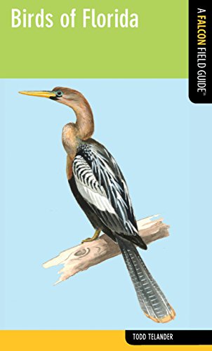 Stock image for Birds of Florida for sale by Better World Books