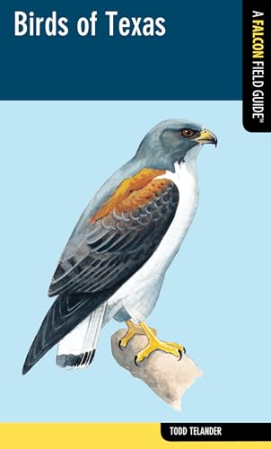 Stock image for Birds of Texas (Falcon Field Guide Series) for sale by HPB-Diamond