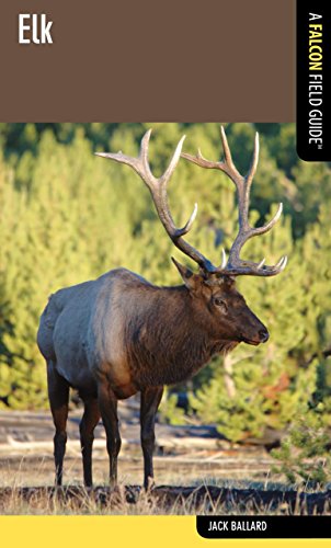 9780762774227: Elk: A Falcon Field Guide