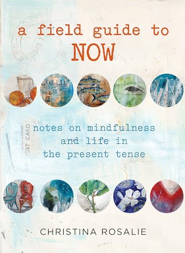 Beispielbild fr Field Guide to Now: Notes On Mindfulness And Life In The Present Tense zum Verkauf von Jenson Books Inc