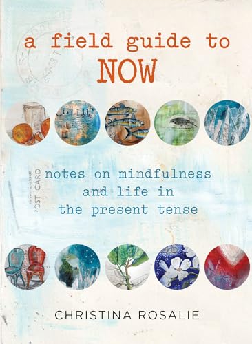 Imagen de archivo de Field Guide to Now: Notes On Mindfulness And Life In The Present Tense a la venta por Jenson Books Inc