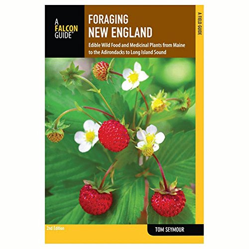 9780762779031: Foraging New England: Edible Wild Food And Medicinal Plants From Maine To The Adirondacks To Long Island Sound (Foraging Series)
