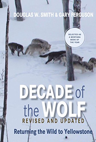 9780762779055: Decade of the Wolf: Returning the Wild to Yellowstone