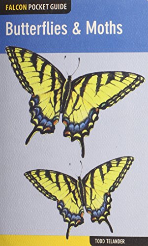 Stock image for Butterflies & Moths (Falcon Pocket Guides) for sale by Decluttr