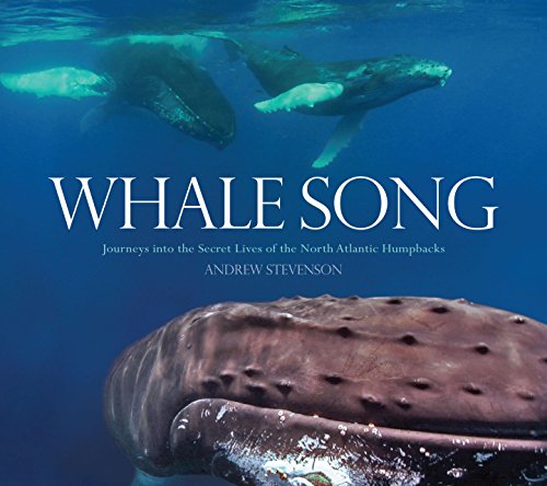 Beispielbild fr Whale Song: Journeys into the Secret Lives of the North Atlantic Humpbacks zum Verkauf von Wonder Book
