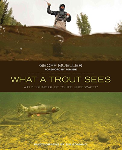 Beispielbild fr What a Trout Sees A Fly Fishing Guide to Life Underwater zum Verkauf von Harry Alter