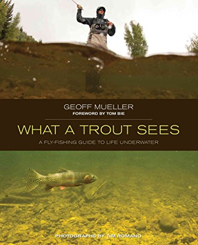 WHAT A TROUT SEES: A FLY FISHIN GUIDE TO LIFE UNDERWATER