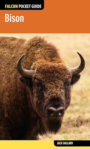 Stock image for Bison (Falcon Pocket Guides) for sale by -OnTimeBooks-
