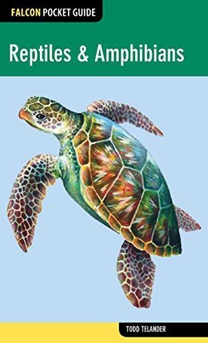 Stock image for Falcon Pocket Guide: Reptiles & Amphibians (Falcon Pocket Guides) for sale by HPB-Diamond
