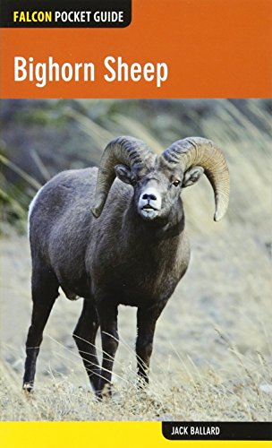Beispielbild fr Bighorn Sheep zum Verkauf von ThriftBooks-Atlanta
