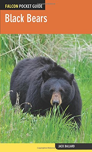 Beispielbild fr Black Bears zum Verkauf von Apple Book Service