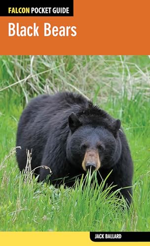 9780762784936: Black Bears (Falcon Pocket Guides)