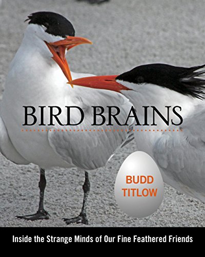 9780762787555: Bird Brains: Inside The Strange Minds Of Our Fine Feathered Friends