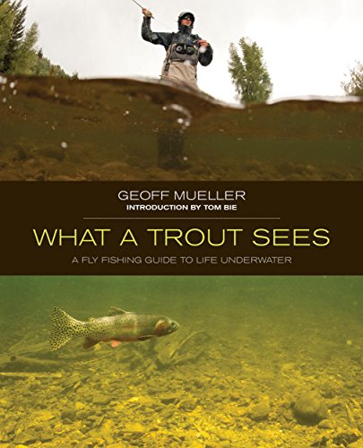 9780762794157: What a Trout Sees: A Fly-Fishing Guide to Life Underwater