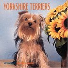 Cal 99 Yorkshire Terriers (9780763110192) by Unknown Author
